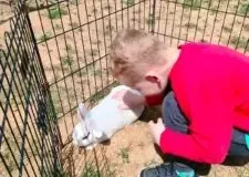 xwycieczka-do-zwierzecej-zagrody-48-225x300.jpg.pagespeed.ic_.1ErvNZ6HYJ