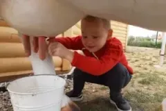 xwycieczka-do-zwierzecej-zagrody-51-300x225.jpg.pagespeed.ic_.nXHI-xiqyb