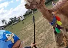 xwycieczka-do-zwierzecej-zagrody-54-225x300.jpg.pagespeed.ic_.7Ou0si16Qo