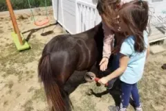 xwycieczka-do-zwierzecej-zagrody-57-300x225.jpg.pagespeed.ic_.qKH0hdjFtH