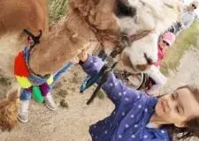 xwycieczka-do-zwierzecej-zagrody-58-225x300.jpg.pagespeed.ic_.eKLhlo8R_q