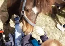 xwycieczka-do-zwierzecej-zagrody-64-225x300.jpg.pagespeed.ic_.cs1Eszrbfm