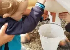 xwycieczka-do-zwierzecej-zagrody-65-225x300.jpg.pagespeed.ic_.pcwkKIl9RX