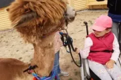 xwycieczka-do-zwierzecej-zagrody-66-300x225.jpg.pagespeed.ic_.yr623DYoPX