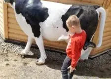 xwycieczka-do-zwierzecej-zagrody-70-225x300.jpg.pagespeed.ic_._k5X4ptHRq