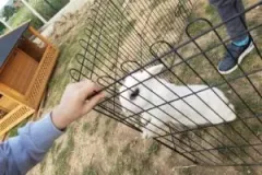 xwycieczka-do-zwierzecej-zagrody-71-300x225.jpg.pagespeed.ic_.7B2Se2J0Gr