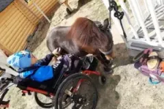 xwycieczka-do-zwierzecej-zagrody-73-300x225.jpg.pagespeed.ic_.LefB2Yj6E0