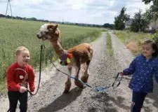 xwycieczka-do-zwierzecej-zagrody-74-225x300.jpg.pagespeed.ic_.fZHVRXzxaG