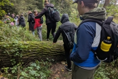 Przejscie-grupy-przez-lezacy-pien-drzewa