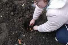 Pola-nadziei-sadzmy-zonkile-4