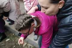 Pola-nadziei-sadzmy-zonkile-5