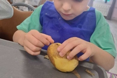 Tymon-obiera-ziemniaki