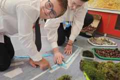 piekna-nasza-Polska-cala-mapa-sensoryczna-41