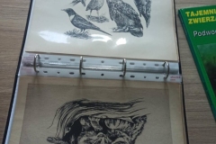 Spotkanie z ilustratorem bajek