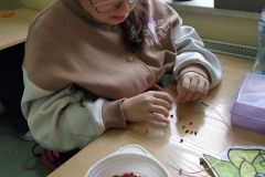 Szkolne-mistrzostwa-matematyczne-13