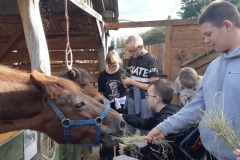 Uczniowie-karmia-konie