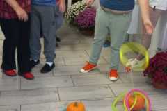 Warsztaty-jesienne-1