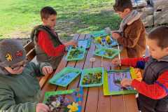 Biedronki-w-trakcie-pracy.