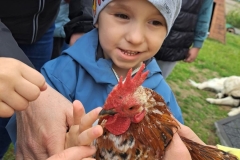 Kuba-poznaje-zwierzatka