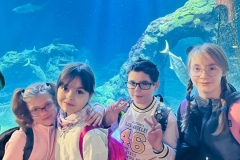 Klasa-1-2-L-a-w-tle-ryby-w-akwarium