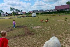 wycieczka-do-zwierzecej-zagrody-14