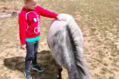 wycieczka-do-zwierzecej-zagrody-20