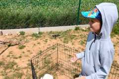 wycieczka-do-zwierzecej-zagrody-21