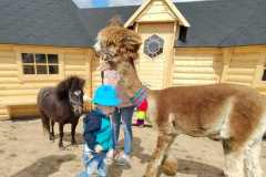 wycieczka-do-zwierzecej-zagrody-6
