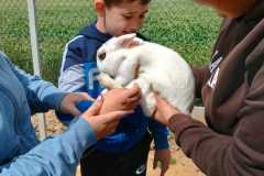 wycieczka-do-zwierzecej-zagrody-9