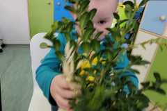 zajecia-florystyczne-9